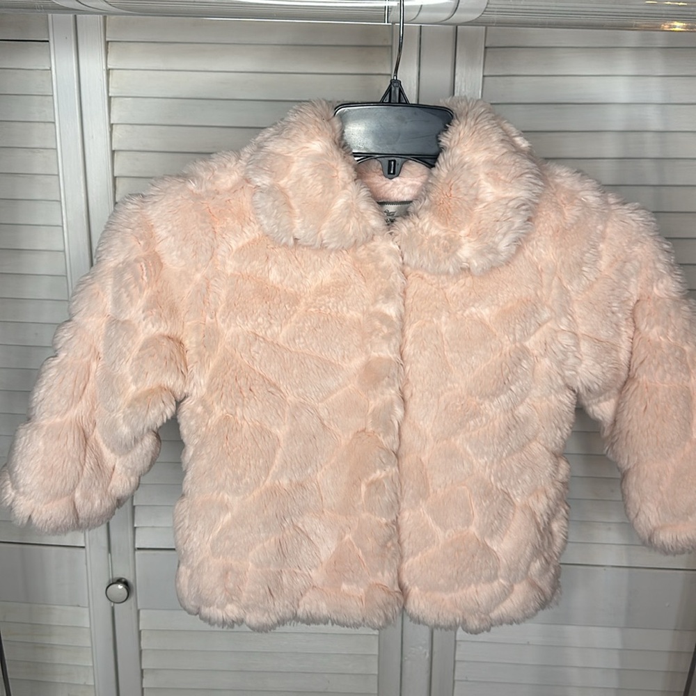 American Widgeon pink coat